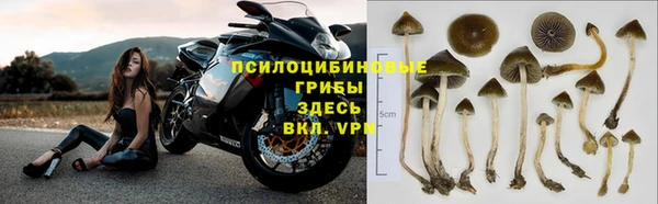 таблы Ладушкин