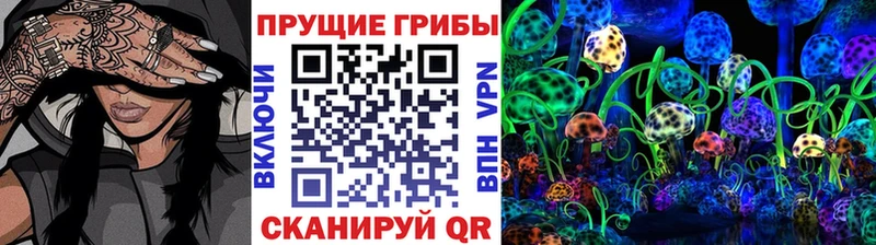 Галлюциногенные грибы MAGIC MUSHROOMS  наркота  Мышкин 